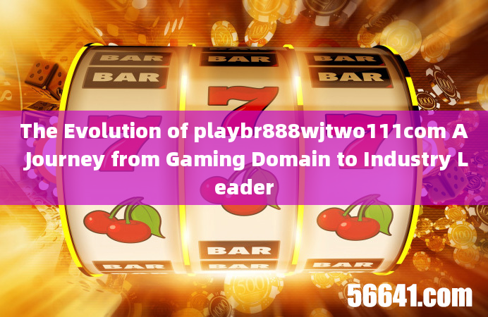 The Evolution of playbr888wjtwo111com A Journey from Gaming Domain to Industry Leader